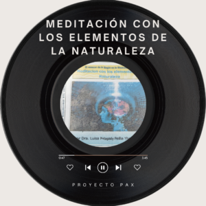 Meditación con los Elementos de la Naturaleza